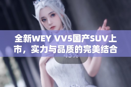 全新WEY VV5国产SUV上市，实力与品质的完美结合