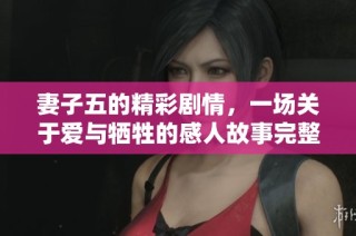 妻子五的精彩剧情，一场关于爱与牺牲的感人故事完整解析