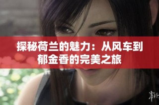 探秘荷兰的魅力：从风车到郁金香的完美之旅