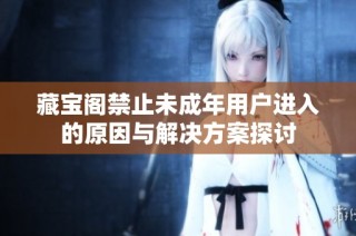藏宝阁禁止未成年用户进入的原因与解决方案探讨